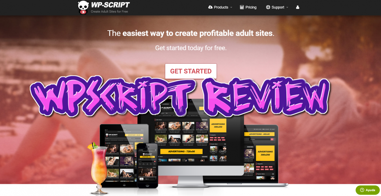 wpscript-review