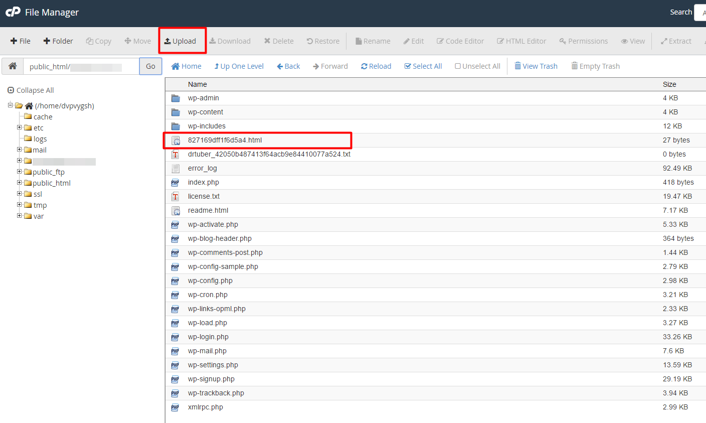 hubtraffic-verificacion-cpanel2